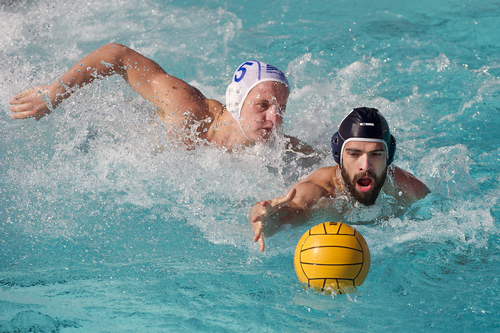 daniel fenesan add nude water polo photo