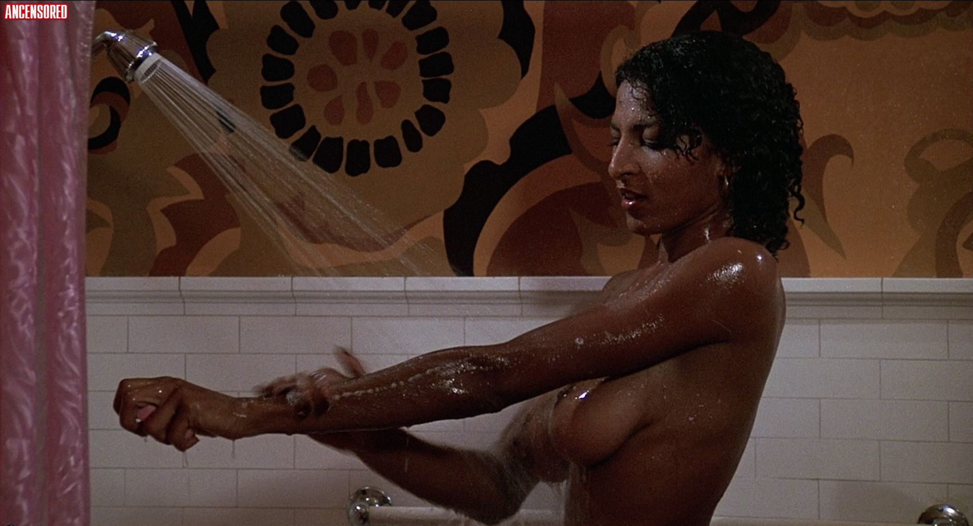 alice kane recommends pam grier nude movie pic