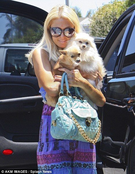 aliza moore recommends Paris Hilton Doggy Style