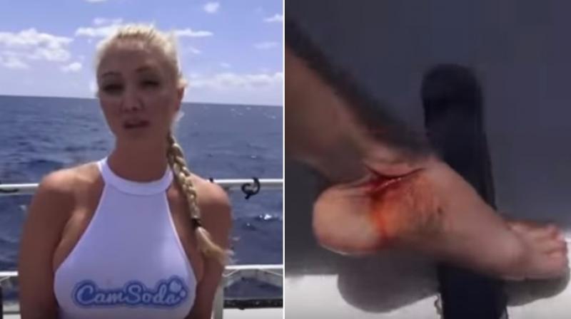 pornstar attacked by shark