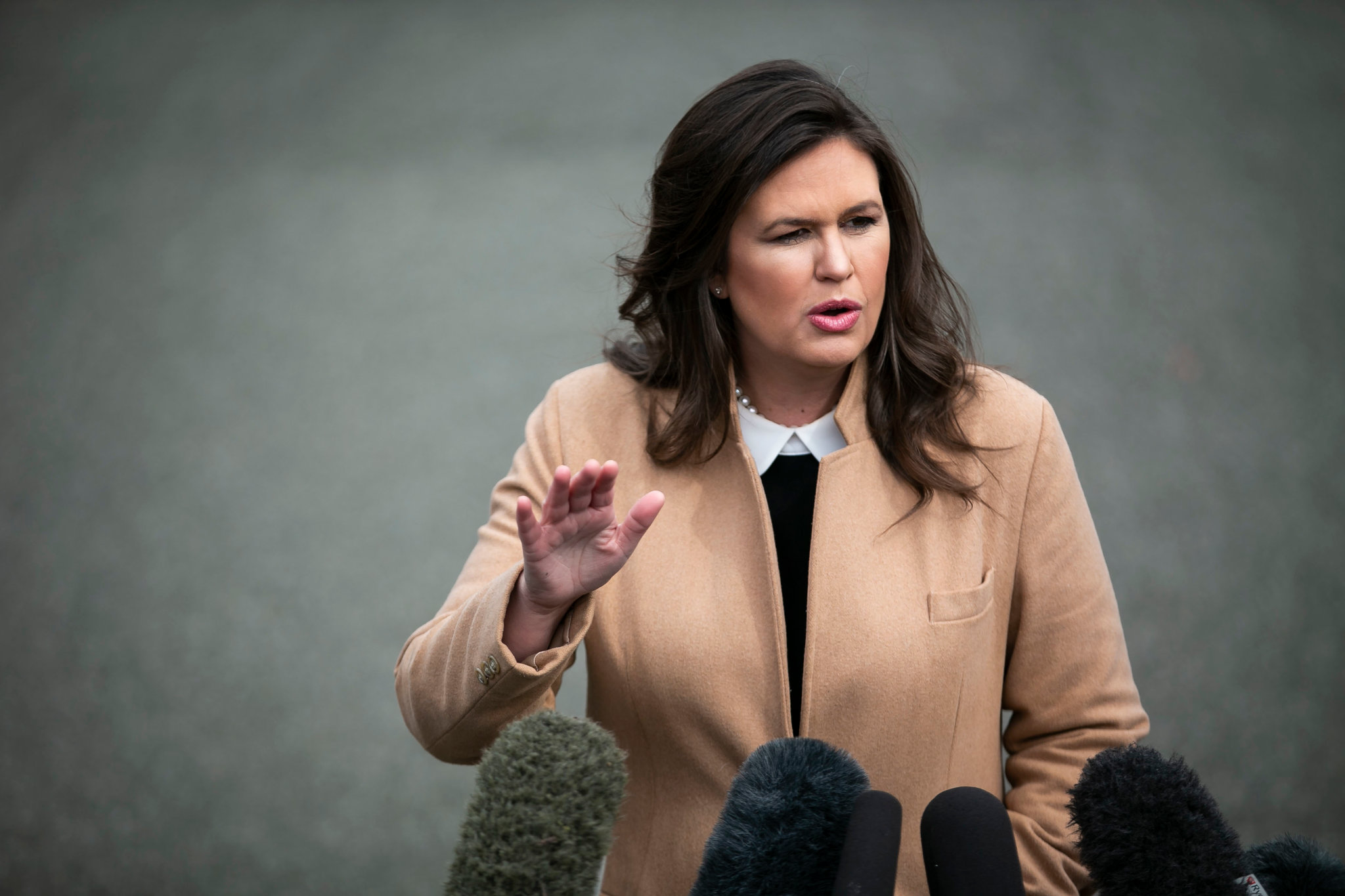 david martineau recommends sarah huckabee sanders boobs pic