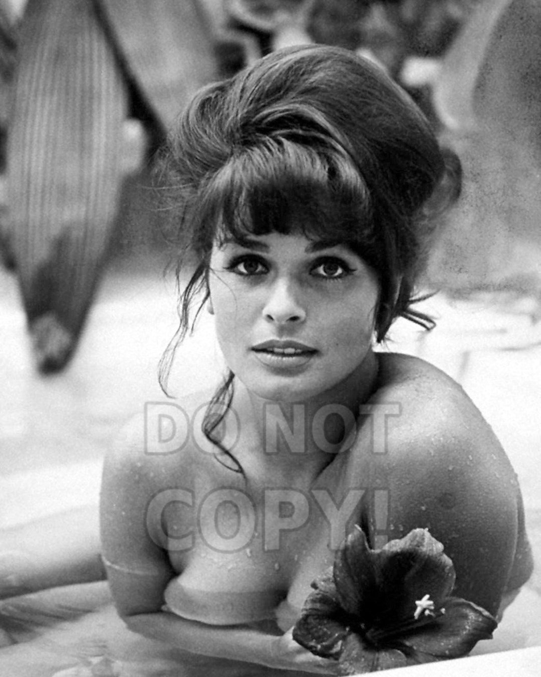 amber m sparks recommends senta berger hot pic