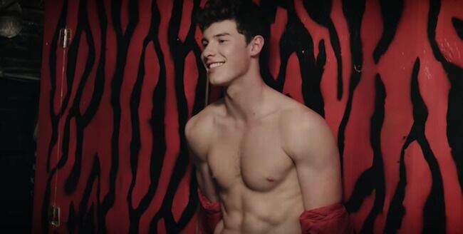 christy searle add shawn mendes bulge photo