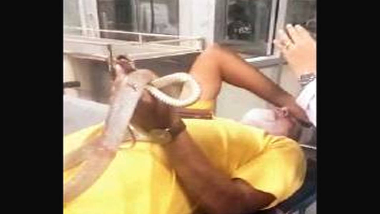 adith vivi share snake in vagina video photos