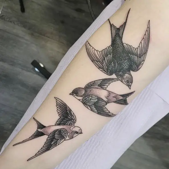 sparrow vs swallow tattoo