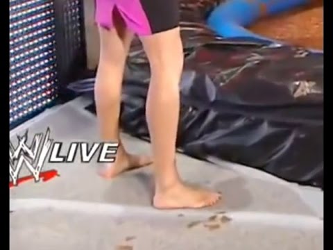 chelsea powell recommends stephanie mcmahon soles pic