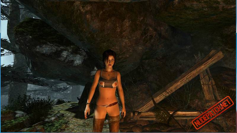adrian havingall recommends Tomb Raider Nude Patch