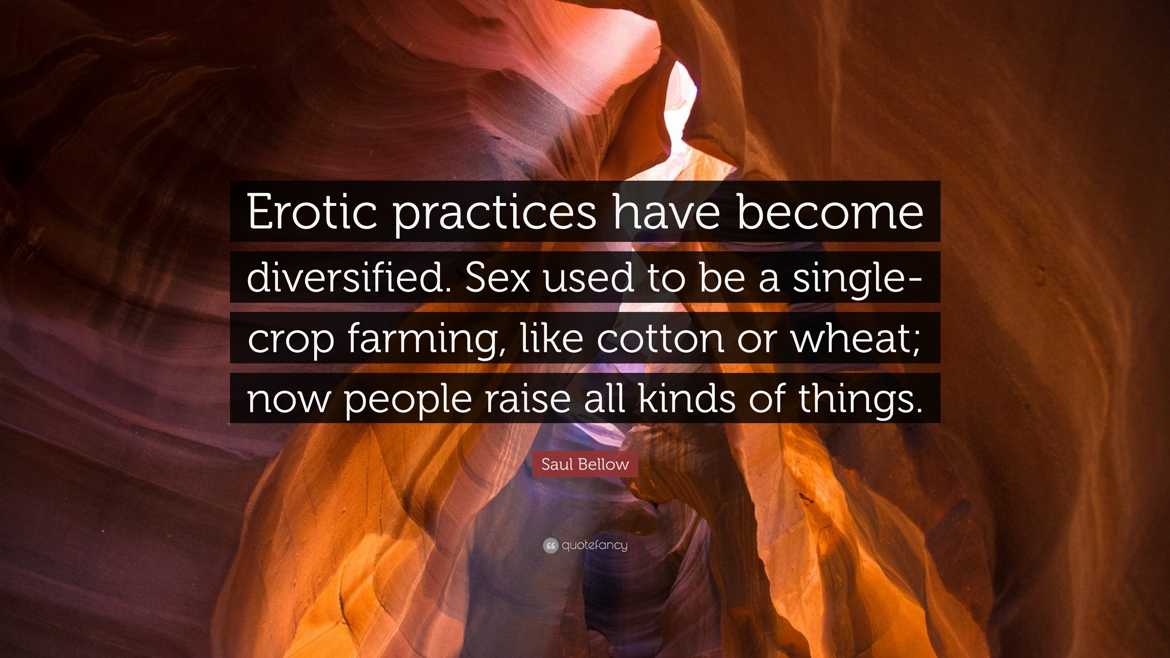 Best of What is a crop used for sexually