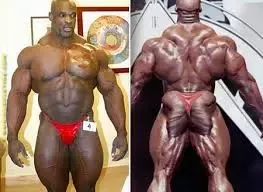 why do bodybuilders have small packages