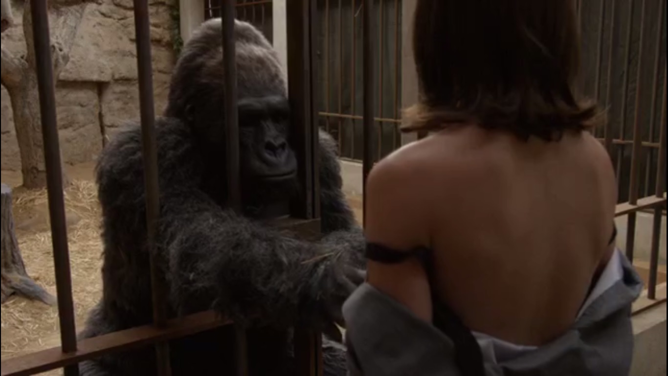 corrie ruby recommends woman sex with gorilla pic