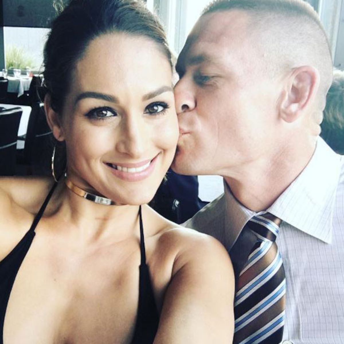 brian garvin recommends wwe bella twins naked pic