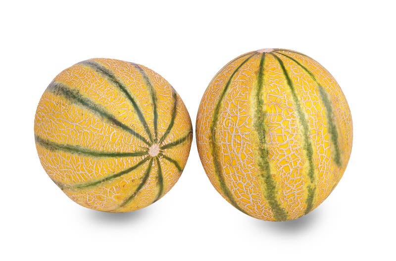 Young Ripe Melons 2 alien porn